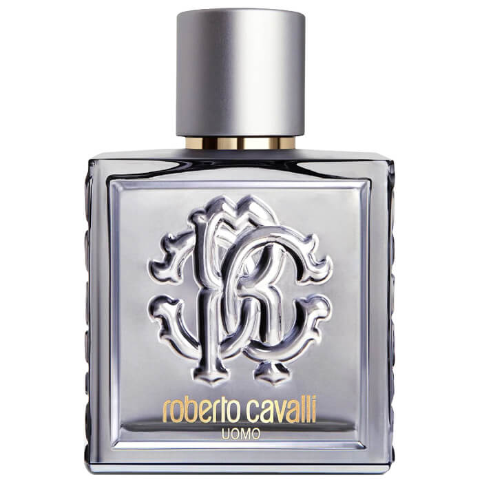 Roberto Cavalli Uomo Silver Essence